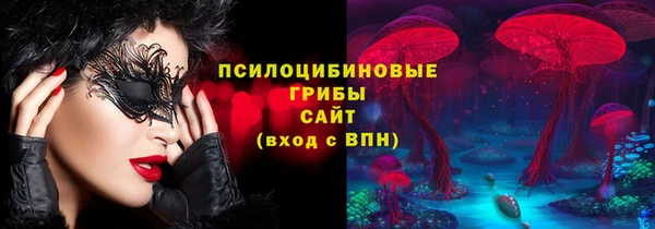 дживик Бородино