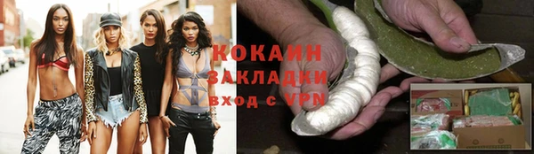 дживик Бородино