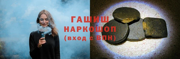 дживик Бородино