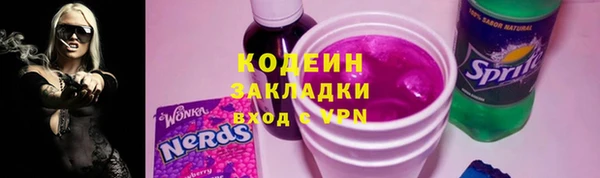 дживик Бородино
