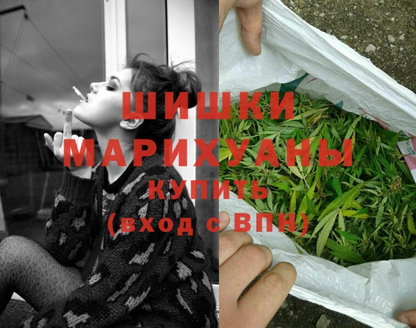 прущие грибы Верхнеуральск