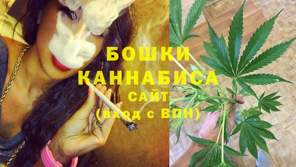 дживик Бородино